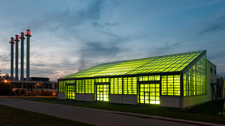 Nachtaufnahme des Algentechnikums - Glasgebäude von innen grün leuchtend- Foto: Andreas Heddergott / TUM