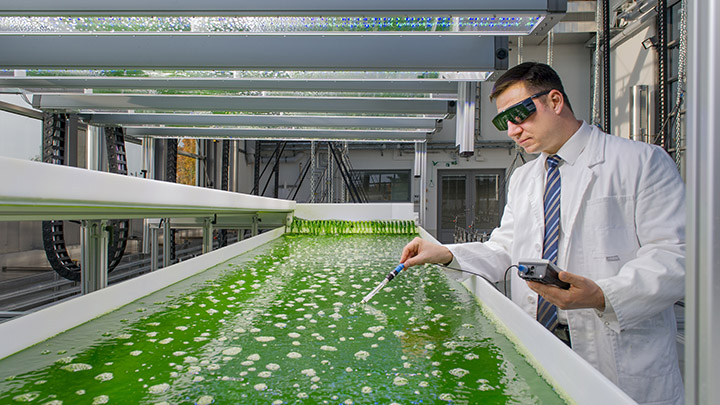 Prof. Brück bei Messungen im Algentechnikum